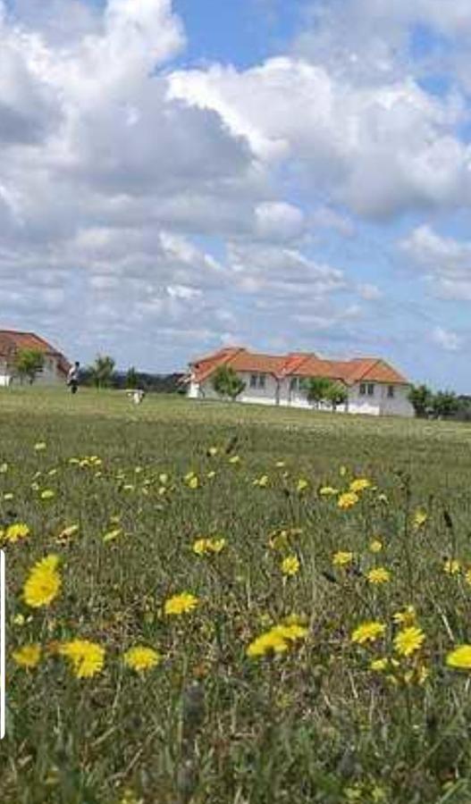 Ferienapartment Wiese & Meer Auf Ruegen Neddesitz Exterior foto